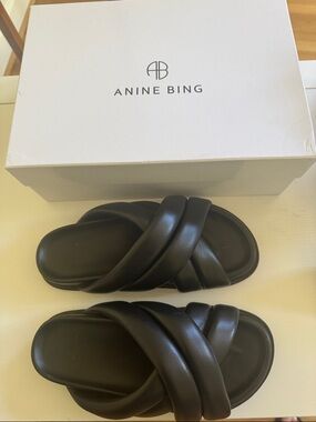 Anine Bing Lizzie Slide Sandals size 36